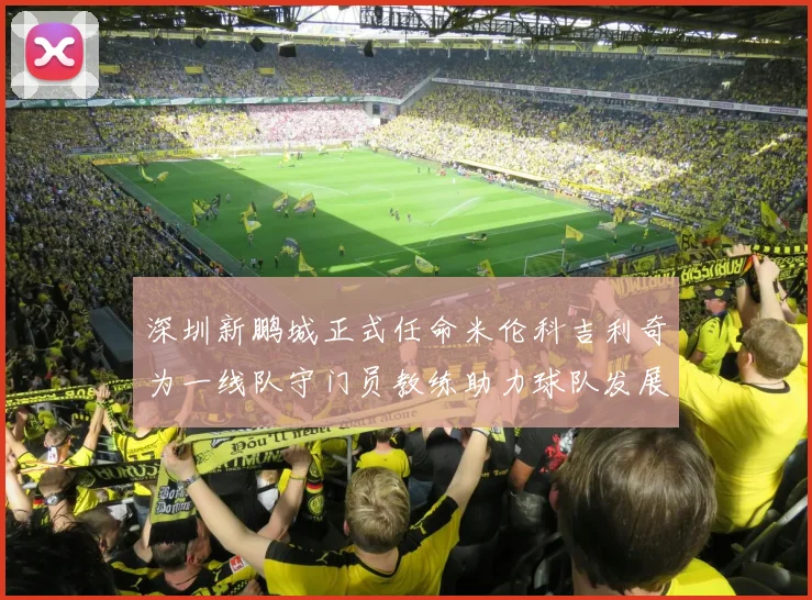 深圳新鹏城正式任命米伦科吉利奇为一线队守门员教练助力球队发展